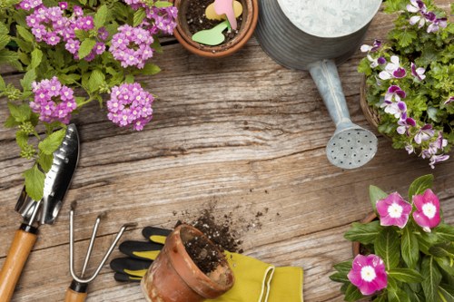Illustration of an accessible Gardeners Highams Park website opening section