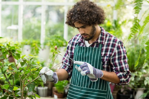 Insured and safety-focused gardening service in Highams Park