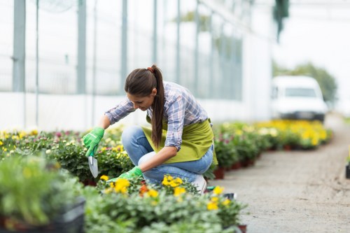 Keyboard navigation and clear page layout for Highams Park gardening services