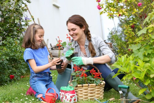 Lawn care and hedge trimming in Highams Park