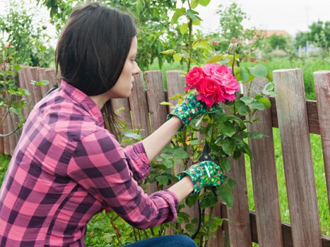Seasonal garden maintenance in a Highams Park home garden