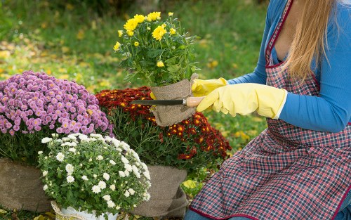 Professional gardeners in Highams Park working on a well-kept garden