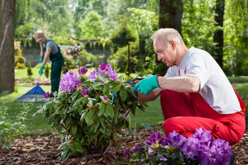 Practical landscape gardening layout in Highams Park with paths and planting beds