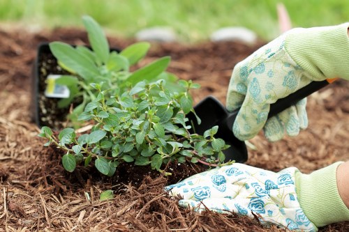 Local transfer station handling green waste and recyclable materials
