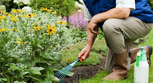 Seasonal planting and garden maintenance in Highams Park