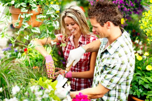 Risk-aware gardening work in Highams Park with trained staff