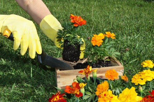 Front garden landscaping example in Highams Park residential area
