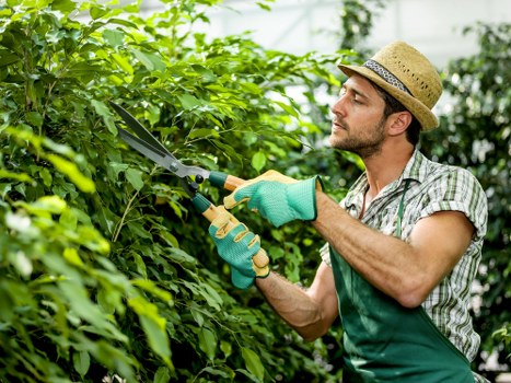 SSL-encrypted Gardeners Highams Park checkout experience