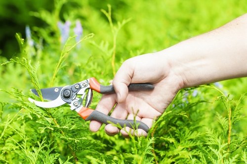 Low-carbon van used for sustainable gardening transport