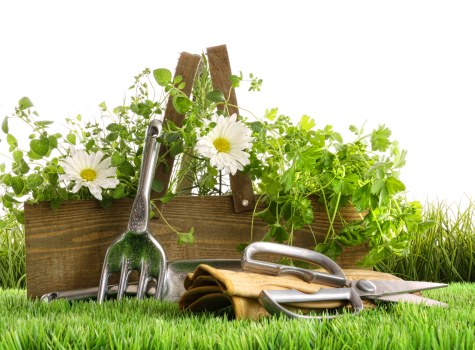 Local garden clearance service handling debris in Highams Park