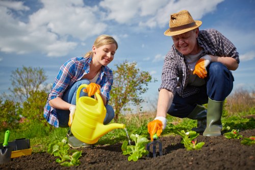 Professional lawn care in Highams Park with fertilising and grass treatment