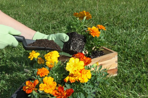 Professional gardening services improving a Highams Park outdoor space