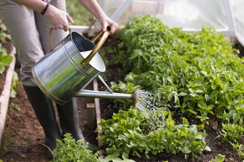 Cutting back shrubs and removing garden waste in Highams Park