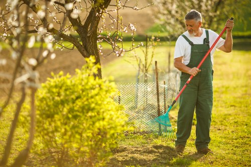 Seasonal hedge trimming in Highams Park for tidy outdoor spaces