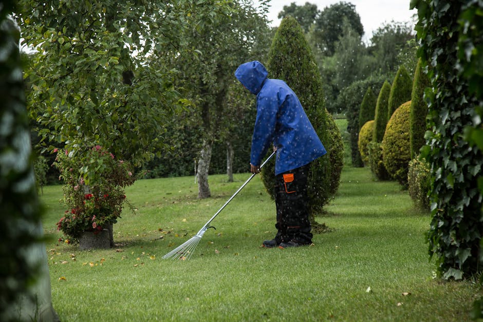 Affordable gardeners in E4 how much garden maintenance costs