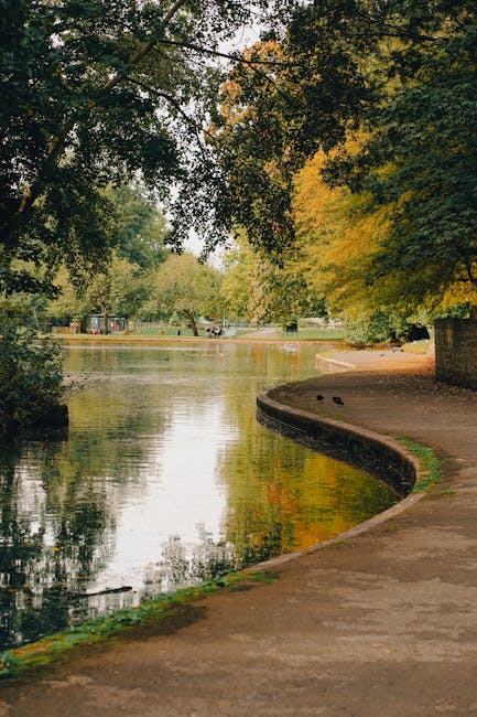 A scenic view of Highams Park Lake framed by tall, leafy trees with green and yellow foliage, indicating a transition into autumn. The calm water of the lake reflects the surrounding trees and sky, cr