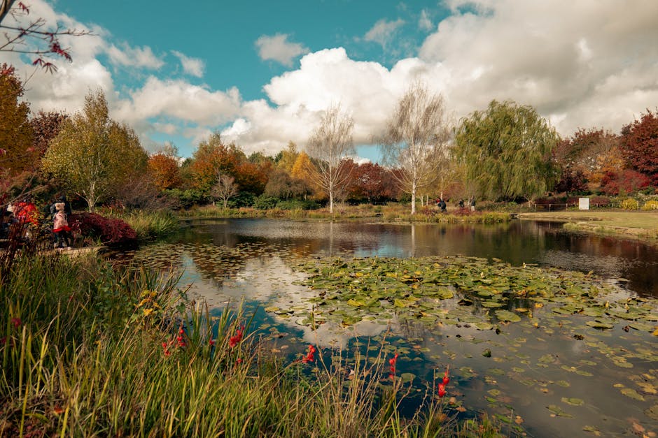 A scenic view of Highams Park Lake framed by tall, leafy trees with green and yellow foliage, indicating a transition into autumn. The calm water of the lake reflects the surrounding trees and sky, cr